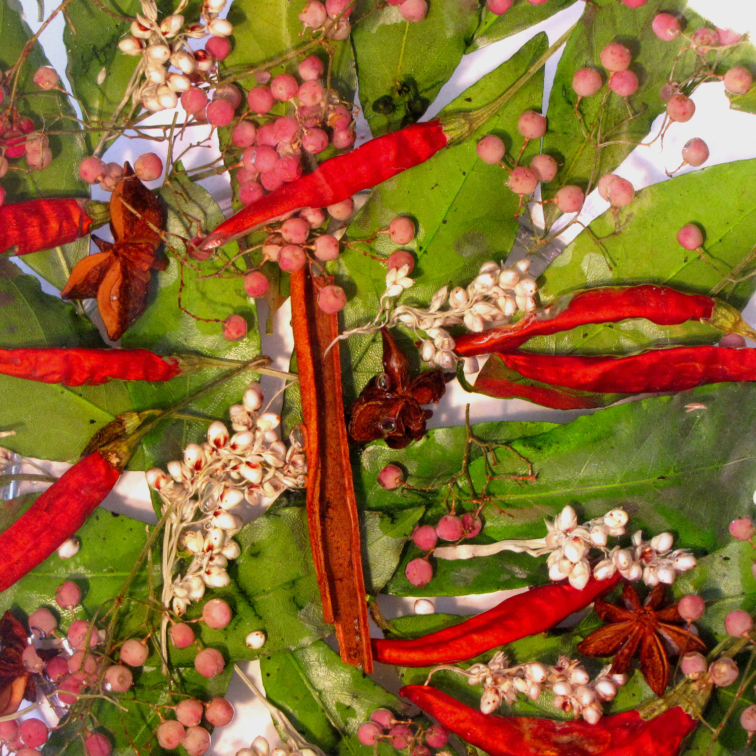 Round Centerpiece Chili Collection